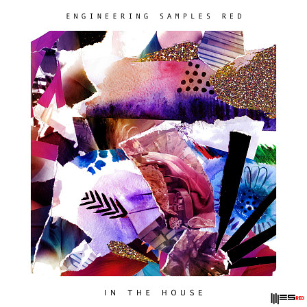 In The House - Packed with 400 MB of outstanding analogue sounds & loops