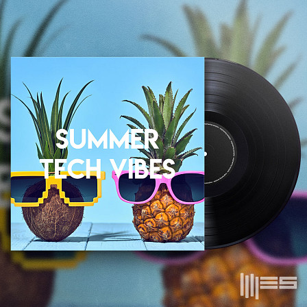 Summer Tech Vibes - Synth Loops, Basslines, Drum Loops, Vocal Loops and FX