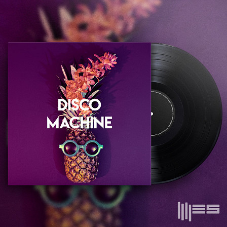 Disco Machine - Synth Lead, Bassline Loops, Drum Loops, Music Loops & FX in cutting edge quality