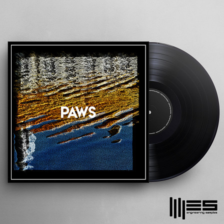 PAWS - Pick up this huge arsenal of modern Tech House Sounds!