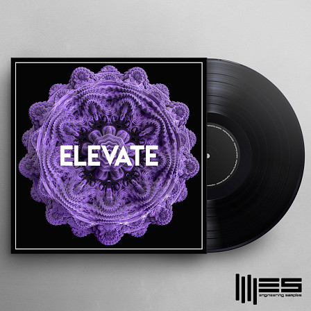 Elevate - Elevate has got everything you need for your next club banger!