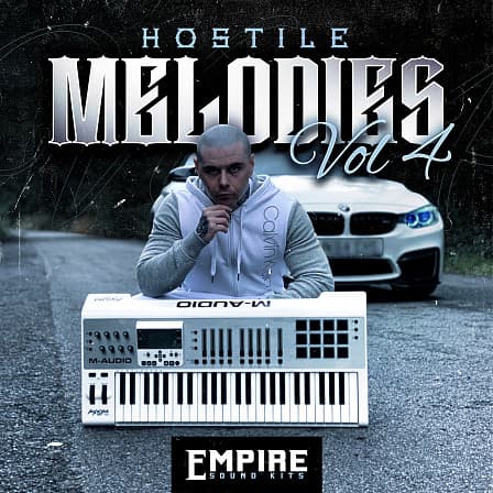 Hostile Melodies V4 - 20 carefully crafted, mixed and ready to go melodies!