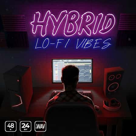 Hybrid Lo-Fi Vibes - Feel good melodies, chill lo-fi drums, low key bass lines and much more!