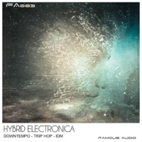 Hybrid Electronica - 683MB of material spread over 404 ground-breaking loops & samples