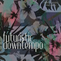 Futuristic Downtempo - Fusion of dreamy downtempo rhythms with shimmering electronica sounds