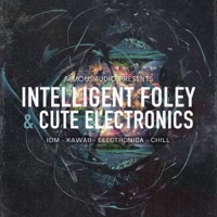 Intelligent Foley & Cute Electronics - 545 sounds to give you a fresh and yet rough approach on intelligent music