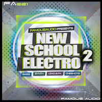 New School Electro 2 - Over 600 MB of melody-driven bangers