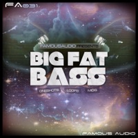 Big Fat Bass - Over 230MB of crunchy, dirty and tweaked out bass loops