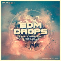 EDM Drops - That current EDM sound that's rocking the dance floors today