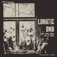 Lunatic DnB - Sinuous basses, devastating synths, hard hitting drums, and soaring melodies