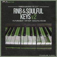 RnB Soulful Keys 2 - 70 smooth and sexy RnB sounding piano melodies and more