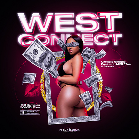West Connect - These 30 Premium Samples provide you with High-Quality Drill/Trap sound!