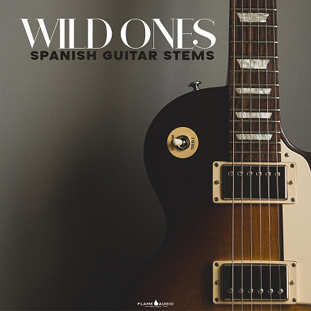 Wild Ones - Guitar Stems - 15 full guitar composition, filled with Radio-Ready Samples and Stems