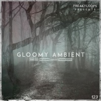 Gloomy Ambient - 1.42GB of raw conten with melancholic atmospheres, brooding ambiences and more