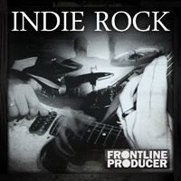 Indie Rock - Indie Rock Band gives you 5 great musicians with a myriad of instruments & more!