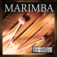 Marimba - A definitive collection of sounds from this unique percussion instrument