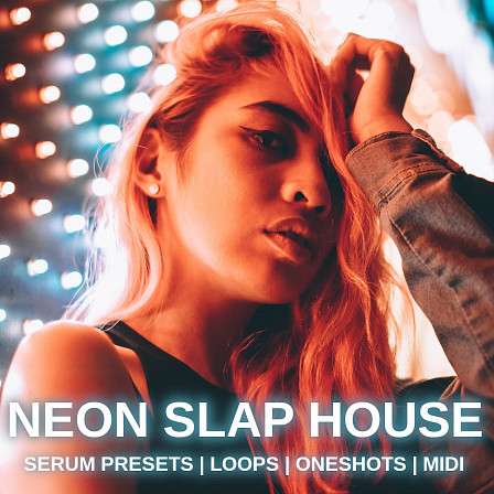 Neon Slap House - An essential production resource covering EDM sounds and rhythms