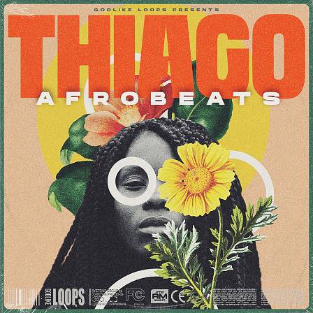 Thiago Afrobeats - Create smashing Afrobeat records