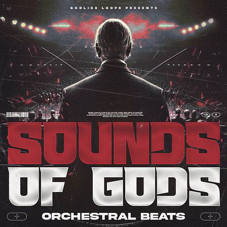 Sounds Of God - Orchestral - Inspired by the styles of Lil Baby, 808 Mafia, NF, Hopsin, 42 Dugg & more