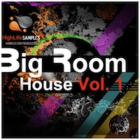 Big Room House Vol.1 - A sample pack that every dance producer should have