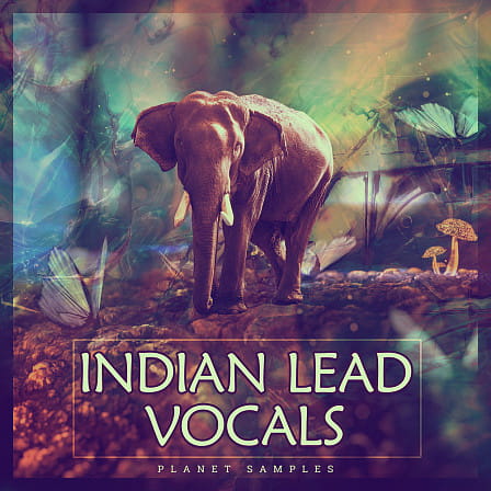 Indian Lead Vocals - A great selection of acapella lead vocals from a female Indian vocalist
