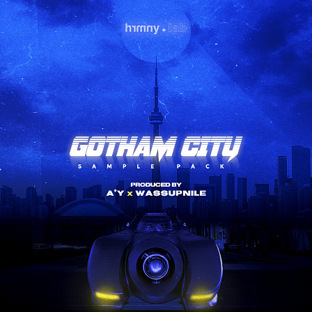 Gotham City - 105 Loops, 55 Drum One-Shots and 65 MIDI Files inspired by Drake's unique style!