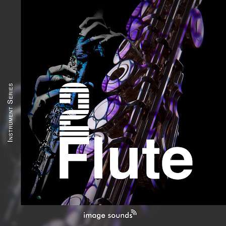 Flute 2 - Introducing the flute as a rhythmic and harmonic element in this pack!