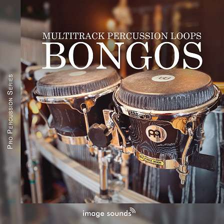 Bongos - Bongos from Image Sounds' Multitrack Pro Percussion Loop Series!