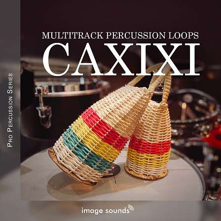 Caxixi - Caxixi from Image Sounds' Multitrack Pro Percussion Loop Series!