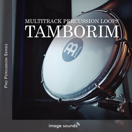 Tamborim - Tamborim from Image Sounds' Multitrack Pro Percussion Loop Series!