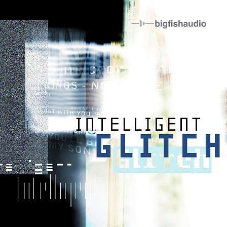 Intelligent Glitch - Glitch style IDM grooves that push the boundaries of this musical genre