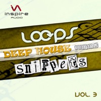 Loops and Snippets Vol.3 - Deep House - This sample pack covers almost anything the deep house-heart longs for