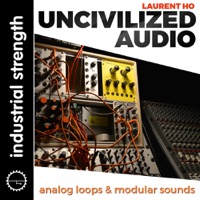 Laurent Hô - Uncivilized Audio - Modular synths that snarl and hulk out of the mind of Laurent Hô