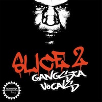 DJ Sykopath Slice Vol.2 - Gangsta Vocals - 100 gangsta expressions perfect for spicing up your tracks