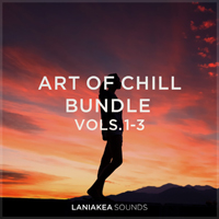 Art of Chill Bundle - Explore the dream world of Chillout and Ambient