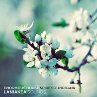 Enormous House Spire Soundbank - Dynamic arps, tigth leads, smooth synths and more!
