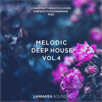 Melodic Deep House Vol. 4 - A tasty collection of ear-catching sounds