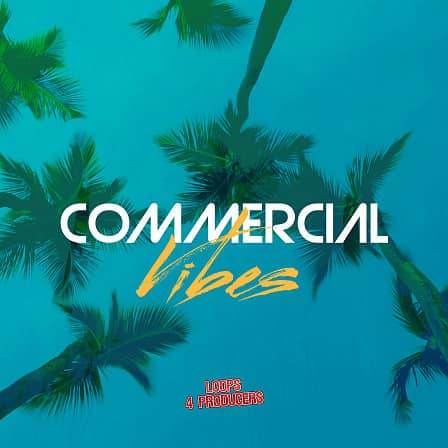 Commercial Vibes - Soaked with the smooth, authentic sound of RnB