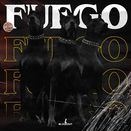 Fuego - Fuego the loop kit is coming at you with some new sounds!