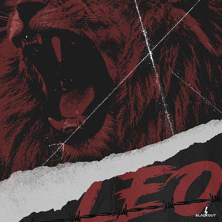 Leo - Packed with 25 of the dopest melody kits you’ll find