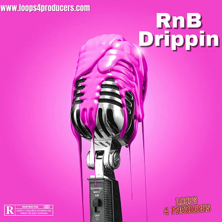 RnB Drippin - Five Construction Kits of the most modern and grooving RnB/Pop beats