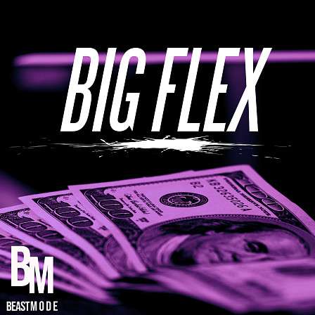 Big Flex - 56 Loops inspired by the styles of Polo G, Roddy Ricch, Don Toliver & more