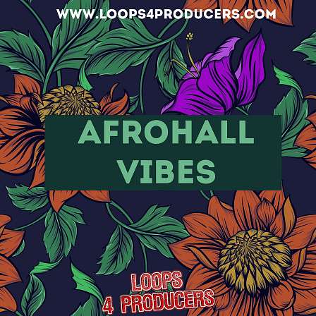 Afrohall Vibes - Essential sounds and materials needed to create that smashing Dancehall sound