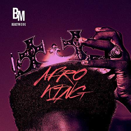 Afro King - Essential sounds and materials needed to create that smashing Dancehall sound