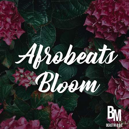 Afrobeats Bloom - Create smashing Afrobeat records