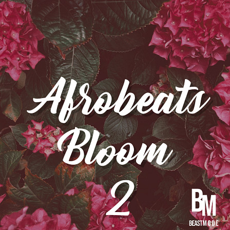 Afrobeats Bloom 2 - Essentials for crafting that smashing Afrobeat record