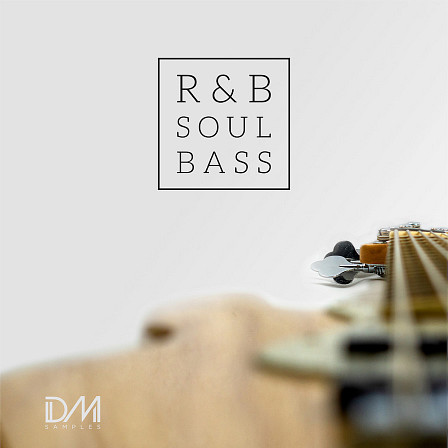 R&B Soul Bass - A collection of R&B Soul bass loops and riffs
