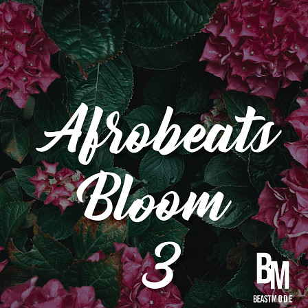 Afrobeats Bloom 3 - Essential sounds and materials needed to create smashing Afrobeat
