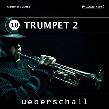 Trumpet 2 - Over 1.4 GB of beautifully produced solo trumpet samples
