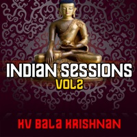 Indian Sessions Vol. 2 - KV Bala Krishnan - pure melodies, grooves and rhythms from Indian culture and traditional music